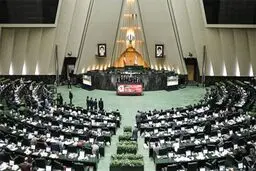 عکس: نماینده سبزوار در حال تماشای لایو اینستاگرام در مجلس