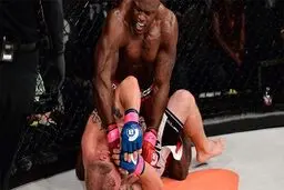 ذبح زندگی و انسانیت در رینگ MMA