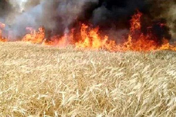 بالن آمریکایی زمین‌های کشاورزی سوریه را به آتش کشید