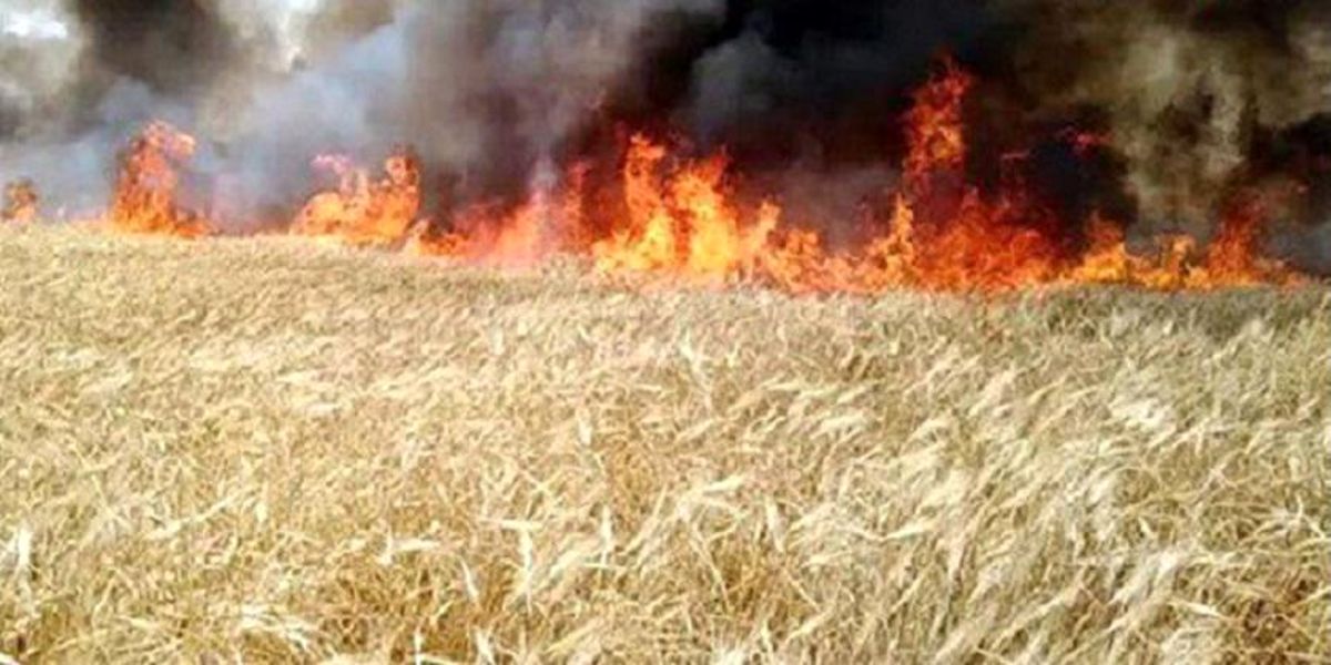 بالن آمریکایی زمین‌های کشاورزی سوریه را به آتش کشید