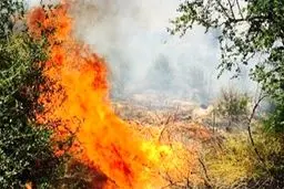 پشت‌پرده آتش‌سوزی‌های عمدی تهران لو رفت