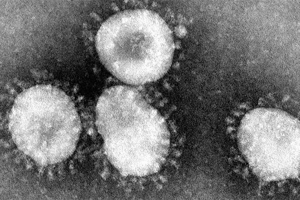 تازه ترین اطلاعات از ویروس کرونا