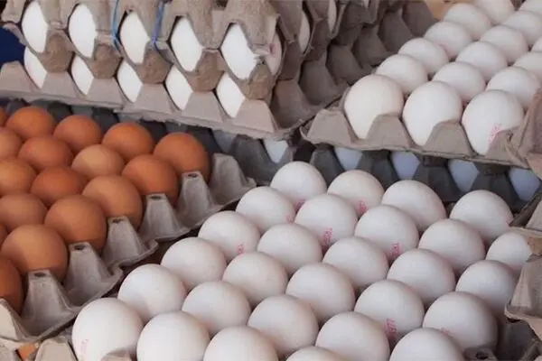 تخم‌مرغ کوتاه بیا نیست