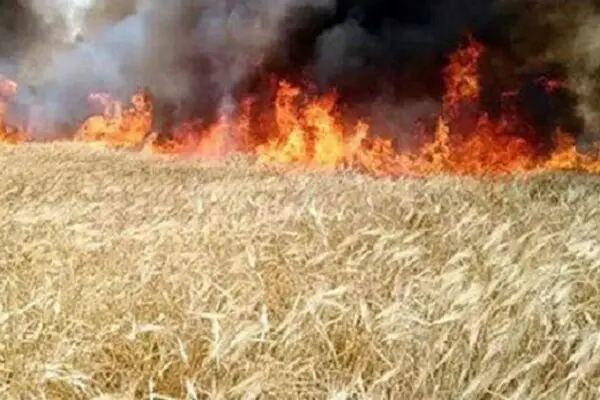 احراز عمدی بودن ۴ مورد از آتش سوزی‌های اخیر