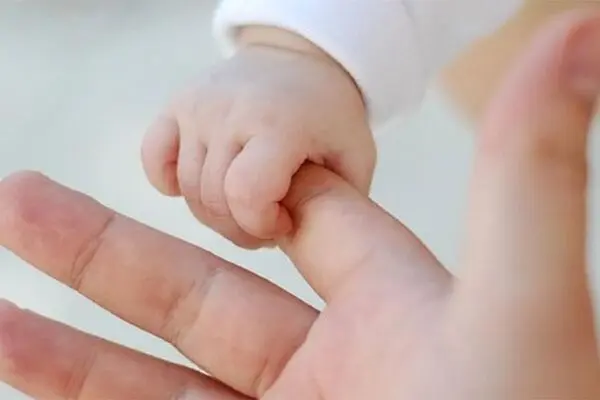 نه دولت به فرزندآوری!