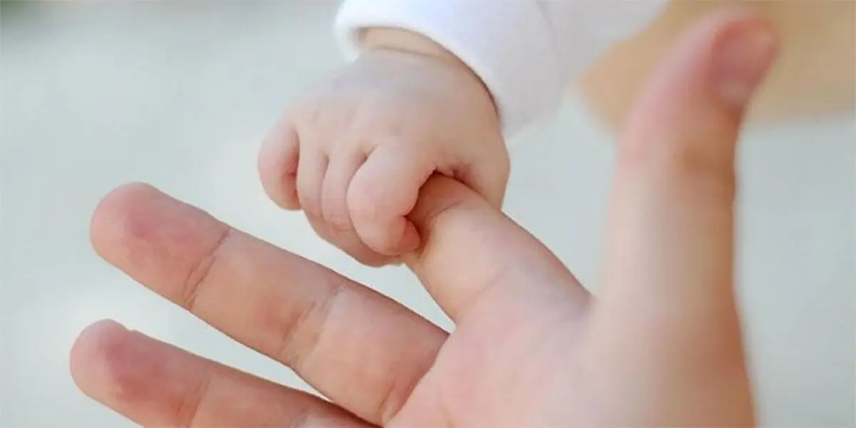 نه دولت به فرزندآوری!