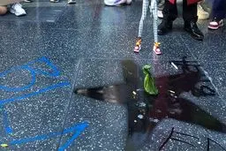 ستاره ترامپ در هالیوود سیاه شد