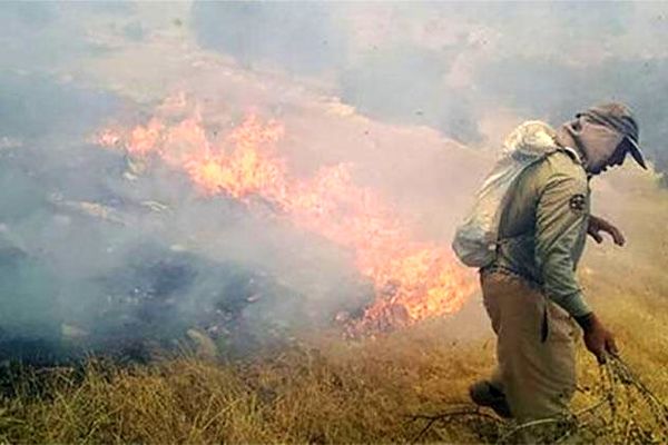 آتش سوزی گسترده در جنگلها و مراتع «پیچاب» باشت