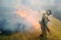 آتش سوزی گسترده در جنگلها و مراتع «پیچاب» باشت