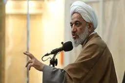 آقاتهرانی: فرهنگ برای دولت و مجلس اولویت ندارد