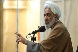 آقاتهرانی: فرهنگ برای دولت و مجلس اولویت ندارد