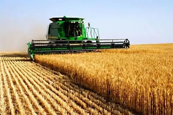 جهاد را چگونه سر بریدند؟؛ از تاسیس توسط امام تا انحلال نوسط دولت اصلاحات