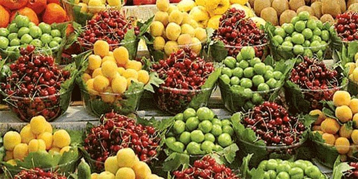 تفاوت ۱۰ برابری قیمت میوه از باغ تا بازار