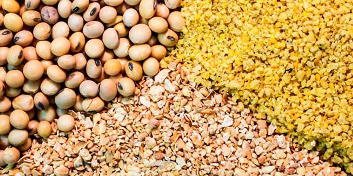 مسئولان کوتاهی خود را نمی‌پذیرند