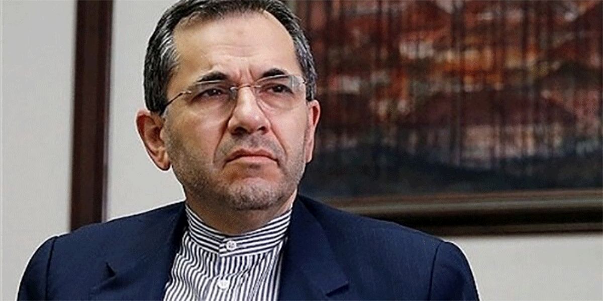 تخت‌روانچی:‌ شورای امنیت حامی ایران است