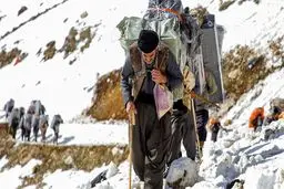 کوله‌بری بزودی رسمیت می‌یابد