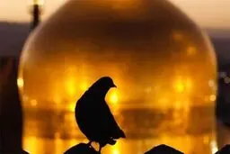 حیات علمی و اخلاقی امام رضا (ع) در یک نگاه