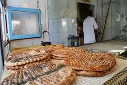 گرانی نان در راه است؟