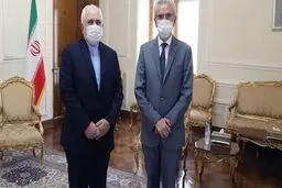 سفیر اسپانیا با ظریف خداحافظی کرد