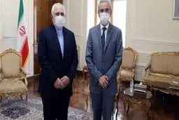 سفیر اسپانیا با ظریف خداحافظی کرد