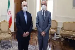 سفیر اسپانیا با ظریف خداحافظی کرد