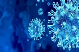 احتمال ابتلای همزمان به کرونا و آنفلوانزا وجود دارد