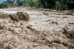 سیل ۵ استان کشور را درگیر کرد