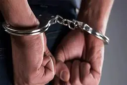 جزئیات مهم دستگیری عناصر سرویس های اطلاعاتی بیگانه در کرمان