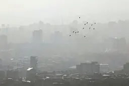 تهرانی‌ها احتیاط کنند، هوا همچنان گرم و آلوده است