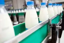 افزایش سریالی قیمت لبنیات در پی بی تفاوتی مسئولان