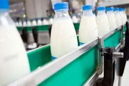 افزایش سریالی قیمت لبنیات در پی بی تفاوتی مسئولان
