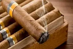 دودهای طلایی که با دلار محاسبه می‌شوند!