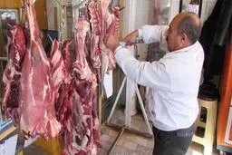 اعیاد و عزاداری ها علت گرانی دام وگوشت نیست
