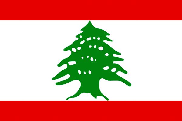 ۳ گزینه جانشینی وزیر خارجه مستعفی لبنان