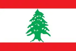 ۳ گزینه جانشینی وزیر خارجه مستعفی لبنان