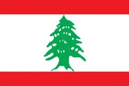 ۳ گزینه جانشینی وزیر خارجه مستعفی لبنان