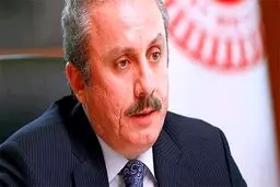 ترکیه: فرانسه حق صحبت کردن در مورد حقوق بشر را ندارد