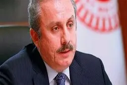 ترکیه: فرانسه حق صحبت کردن در مورد حقوق بشر را ندارد