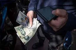 دولت در حال اتلاف ذخایر ارزی کشور است؛ ریشه های تصمیمات ارزی دولت مبهم است