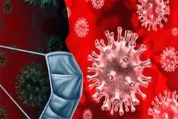 اینفوگرافیک: کدام قسمت منازل احتمال آلودگی بیشتری به کرونا دارند!؟