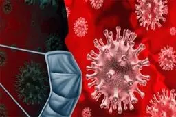 اینفوگرافیک: کدام قسمت منازل احتمال آلودگی بیشتری به کرونا دارند!؟