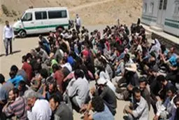 معتادان هم بالاخره کرونا گرفتند!