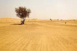 افزایش ۳۰ درصدی بیابان‌های ایران