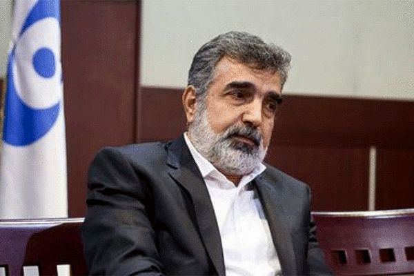 کمالوندی: ایران خواهان تقویت روابط با آژانس است