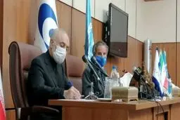 صالحی: قرار شد آژانس مستقل کار کند