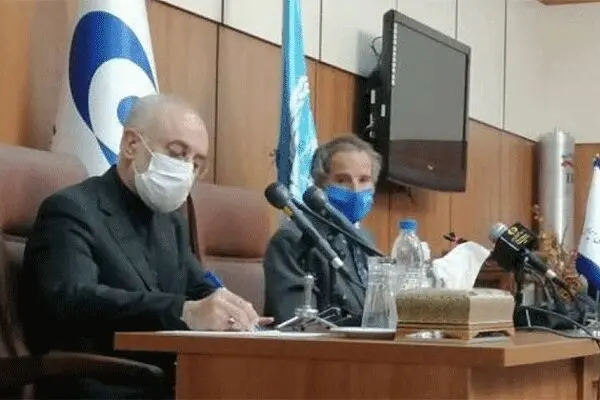 صالحی: قرار شد آژانس مستقل کار کند