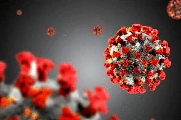 محققان روس موفق به تولید آنتی‌بادی کرونا شدند