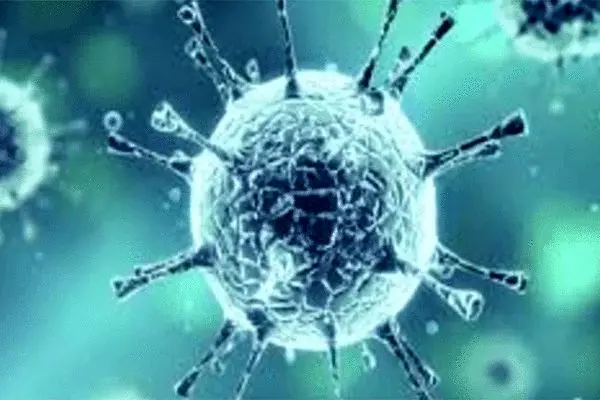 کرونا ویروسی سخت جان است