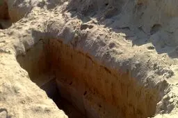 سلطان قبر در جنوب تهران گرفتار شد