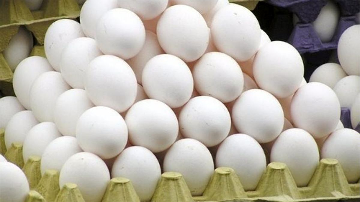 اعلام حداکثر قیمت هر شانه تخم‌مرغ